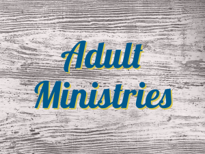 adult ministries